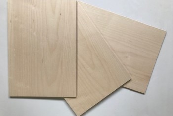 Ahorn, Vogelaugenahorn