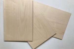 Ahorn, 297x210x3mm
